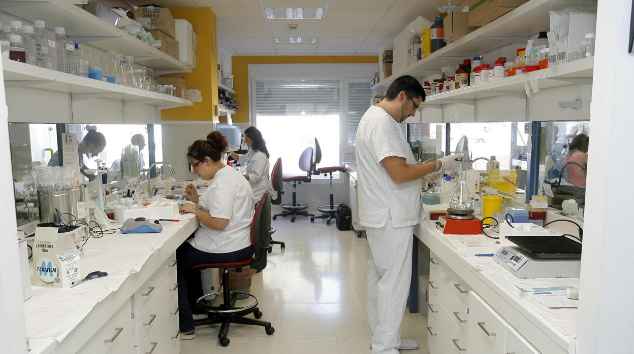 Investigadores del Imibic en uno de sus laboratorios