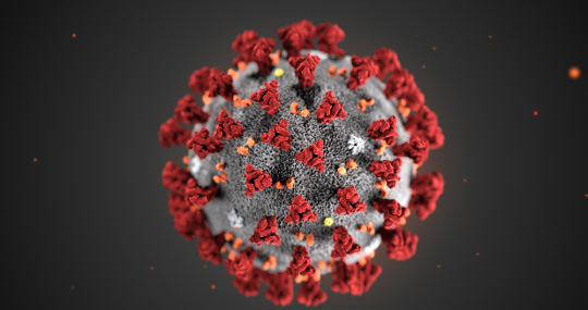 Una imagen del coronavirus