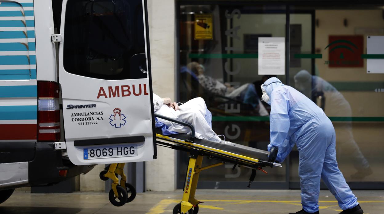 Traslado de un paciente a las Urgencias del Hospital Reina Sofía de Córdoba