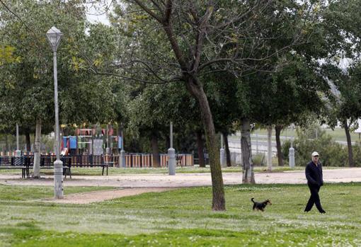 Un hombre pasea a su mascota en un solitario parque