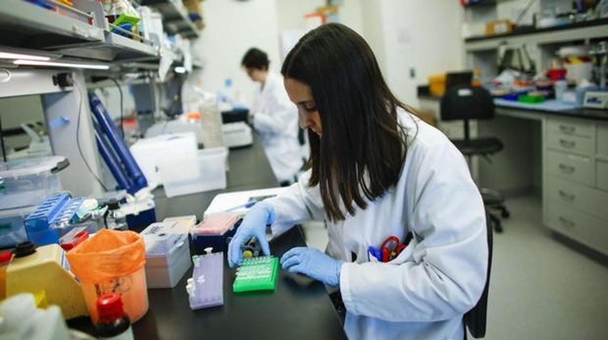 Pruebas en un laboratorio