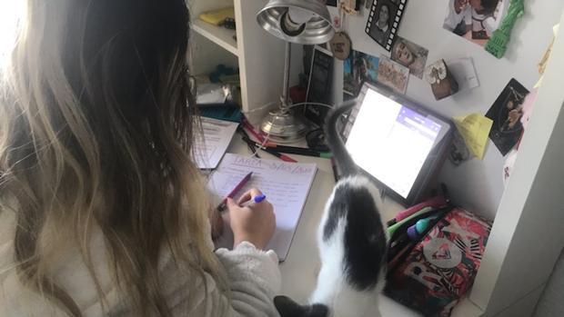 Los expertos abogan por reducir el estrés académico en Córdoba cuando vuelvan las clases