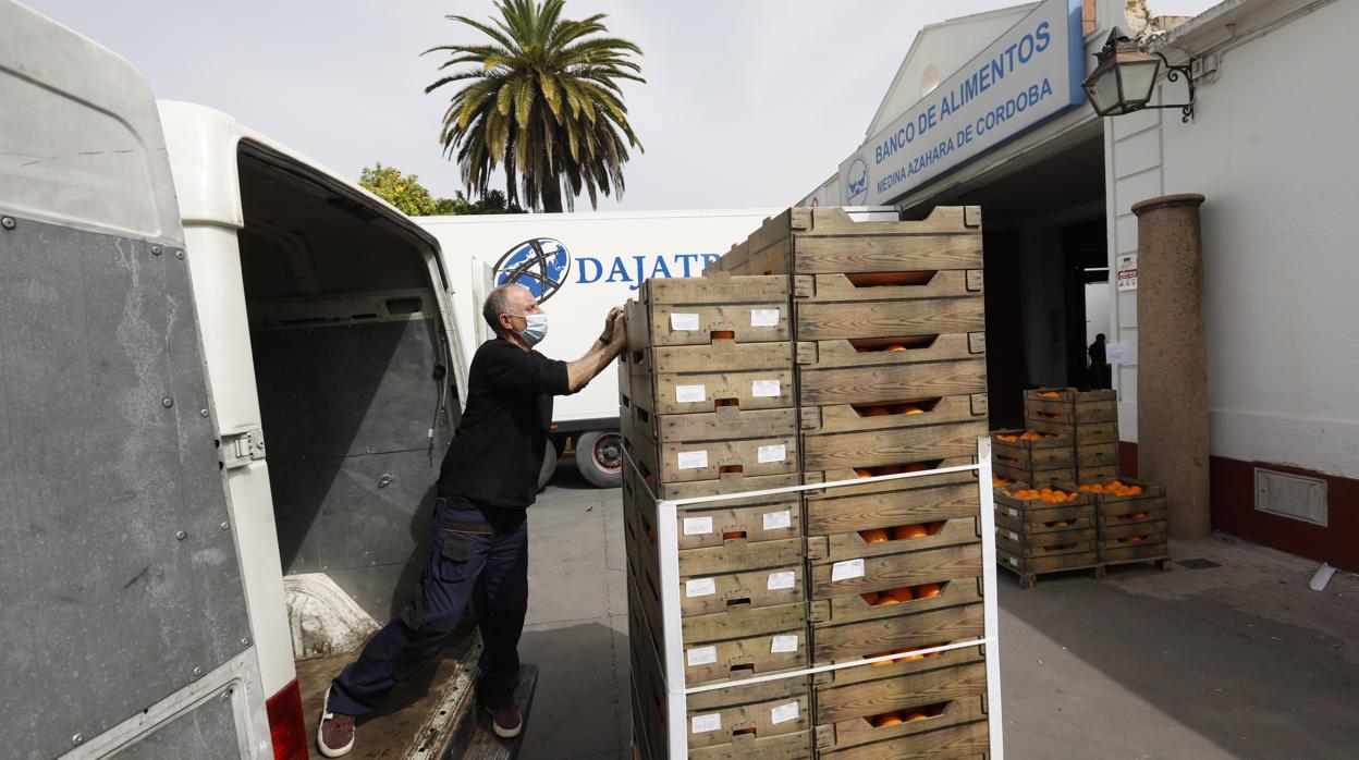 Trabajos de descarga de productos en el Banco de Alimentos de Córdoba