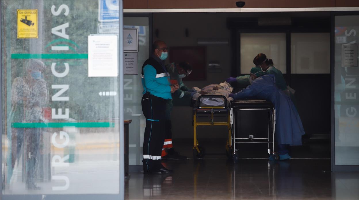 Imagen, ayer de la entrada a las Urgencias del Hospital Reina Sofía de Córdoba