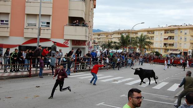 Varios chupinazos recordarán en Los Barrios la fiesta del «Toro Embolao», suspendida por el Covid-19