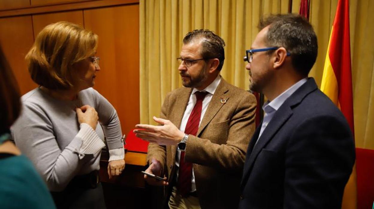 Concejales en el Pleno del Ayuntamiento de Córdoba del mes de febrero