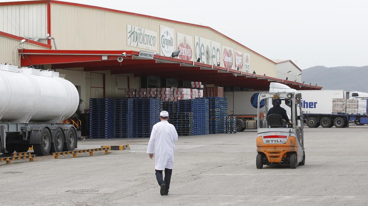 Instalaciones de Deoleo, gigante de la agroalimentación, en Córdoba