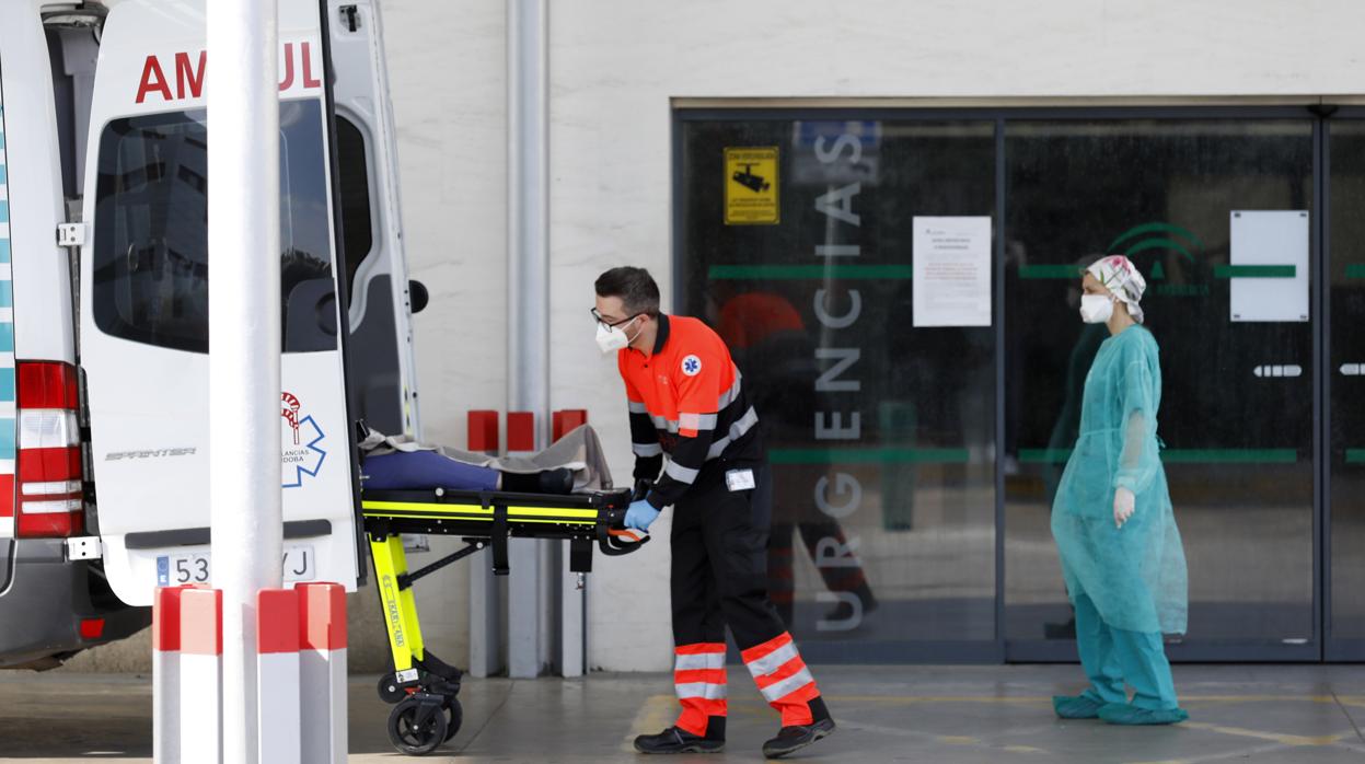 Profesionales sanitarios atienden a un paciente en la puerta de Urgencias del Reina Sofía