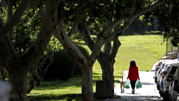 Coronavirus por barrios en Córdoba | Parque Cruz Conde, donde «la gente vive estupendamente»