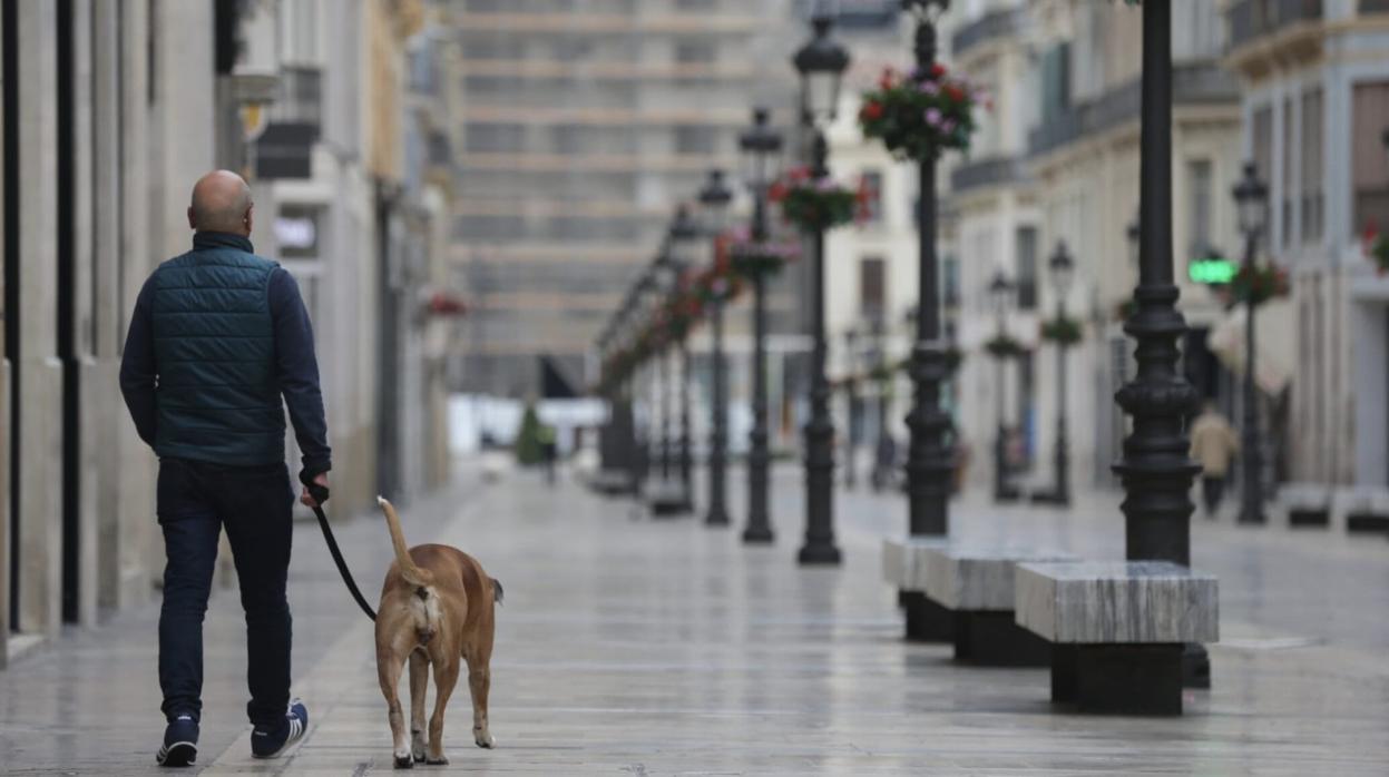 Un hombre pasea con su perro por una calle Larios desierta