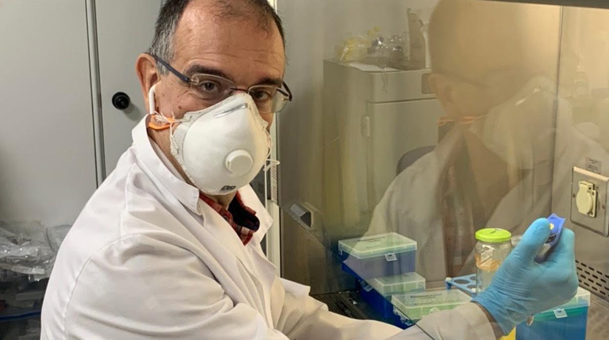 Francisco José García Cozar realizando pruebas de laboratorios estos días