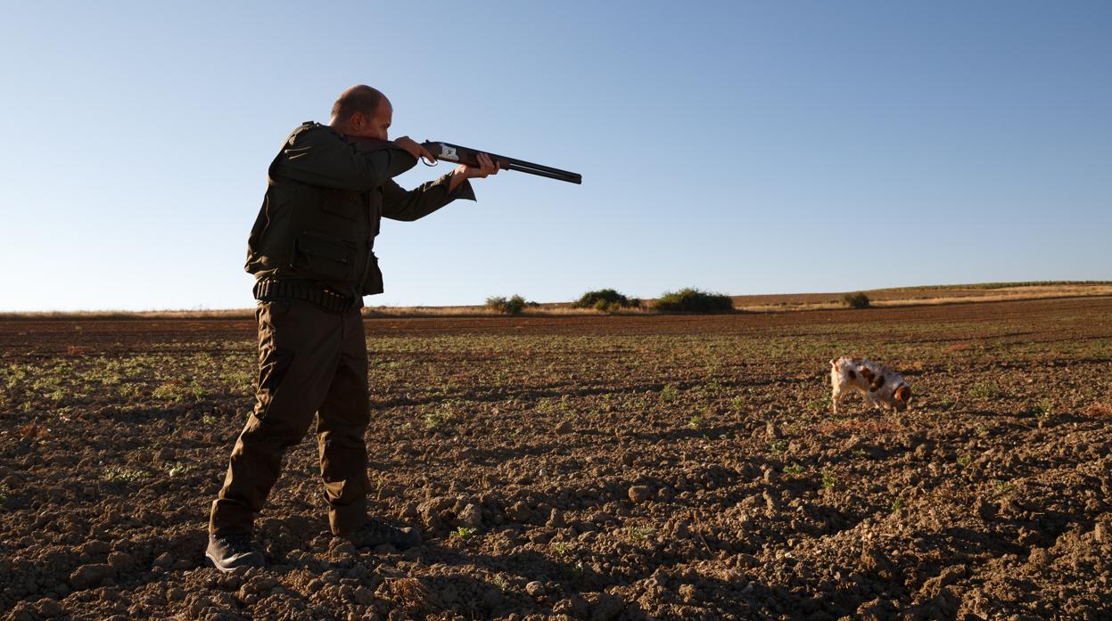 Imagen de archivo de un cazador en el campo apuntando con su su escopeta a una pieza