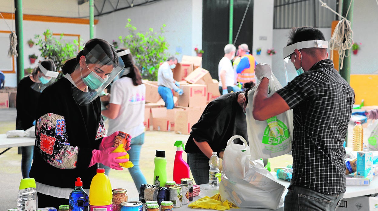 Jóvenes voluntarios de Lucena