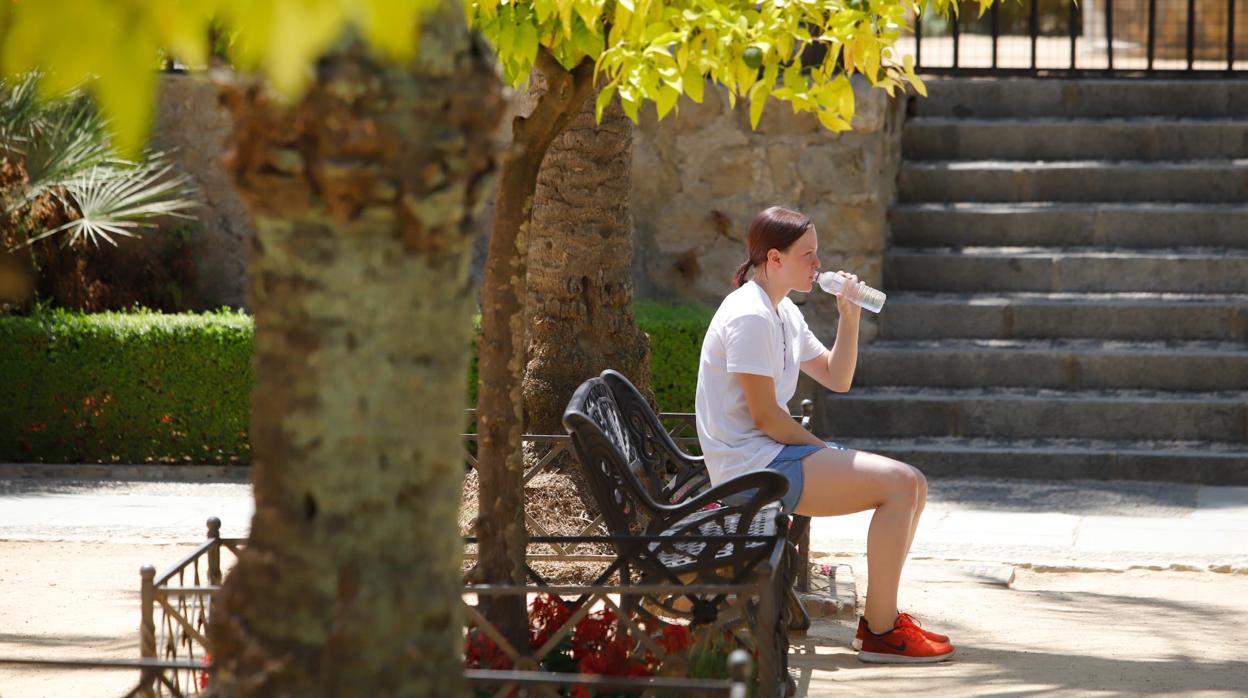 Una joven se regresca con agua en un parque de la capital