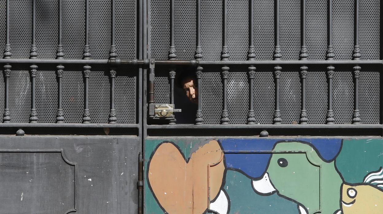 Un niño asoma la cabeza por la puerta del patio del Colegio Colón de Córdoba