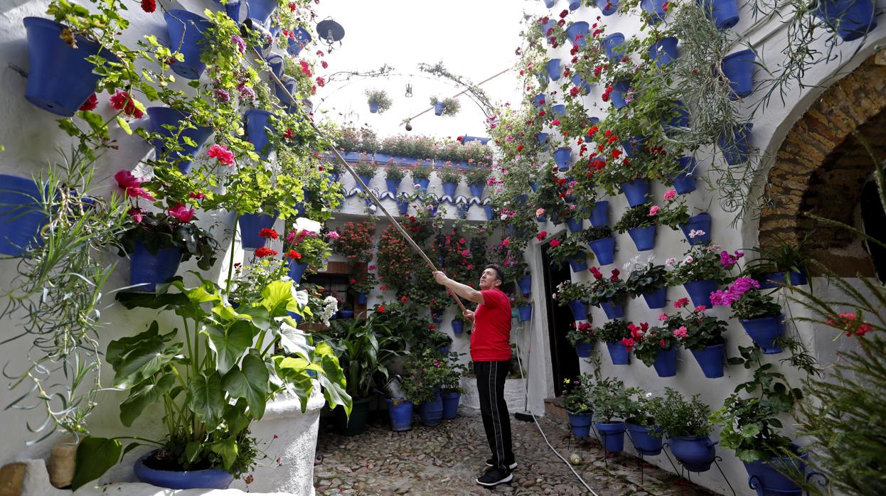 Las Mejores Imágenes De Los Patios De Córdoba 2020 1824