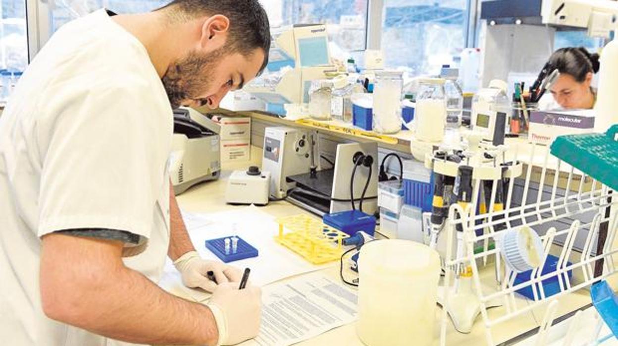 Dos investigadores trabajando en su laboratorio