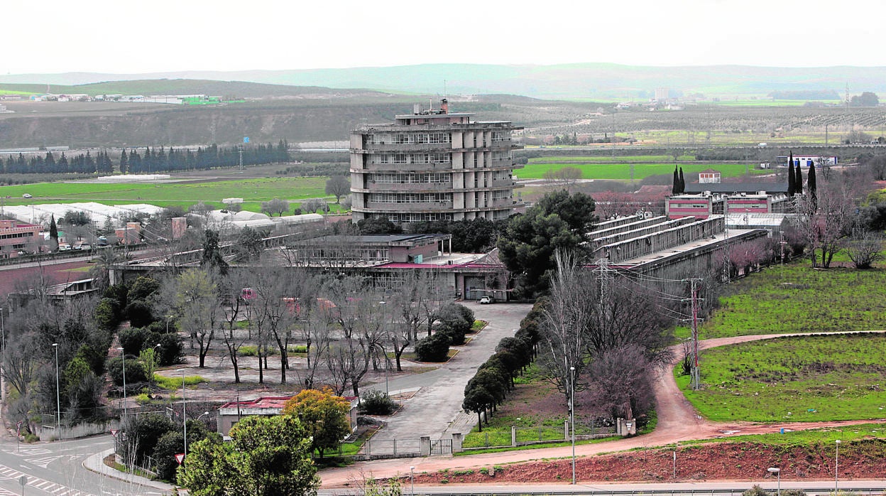 Instalaciones de la antigua Escuela de Agrónomos, diseñada por Fernando Moreno Barberá en los años 60 