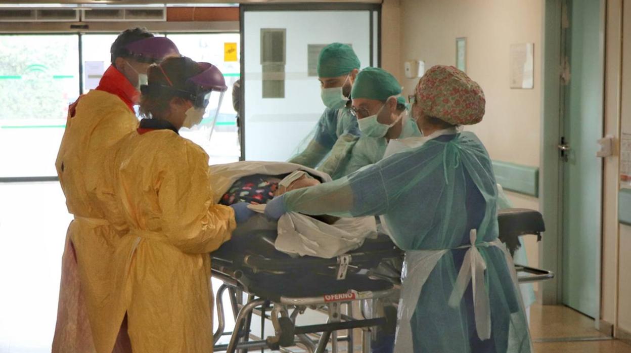 Sanitarios atienden a un paciente en las Urgencias del Hospital Reina Sofía de Córdoba