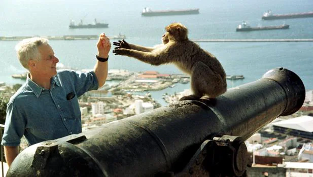 Tocar a los monos de Gibraltar será delito