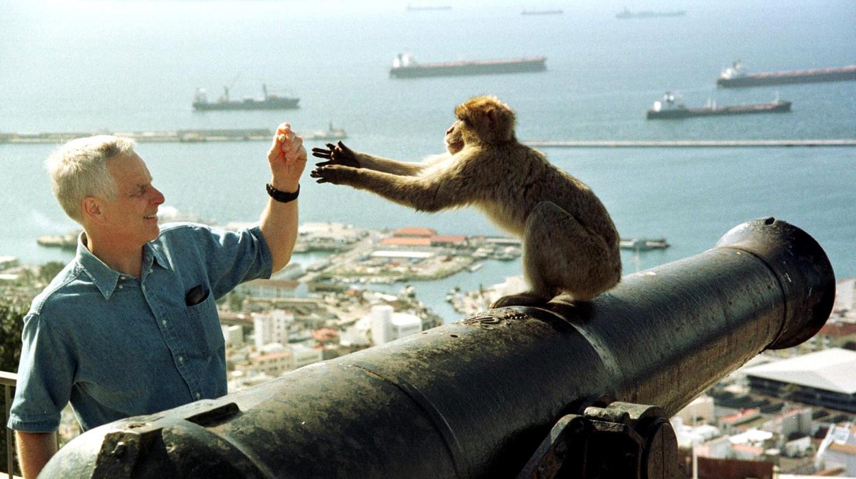 Imagen de un macaco gibraltareño con un turista en la colonia británica de La Roca