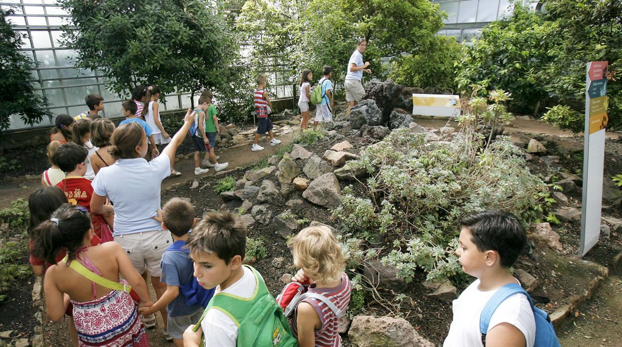 Un grupo de niños en la escuela de verano del Jardín Botánico de Córdoba el pasado año