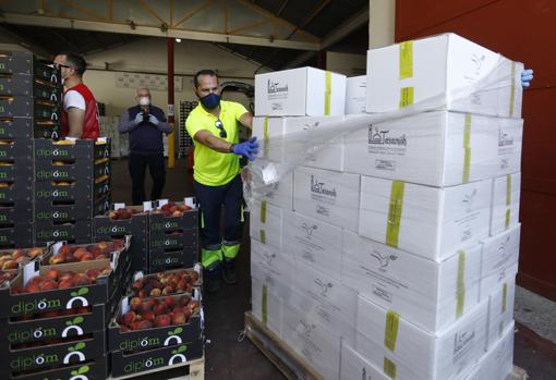 Cajas con comida en el Banco de Alimentos «Medina Azahara»