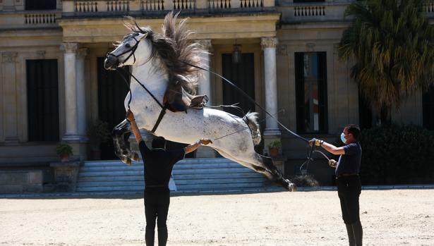 La Real Escuela Andaluza del Arte Ecuestre ya trabaja en su reapertura al público el 3 de julio