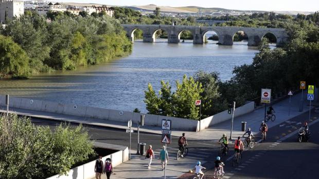 ¿Crees que el río Guadalquivir precisa por Córdoba una limpieza a fondo de suciedad, vegetación y lodos?