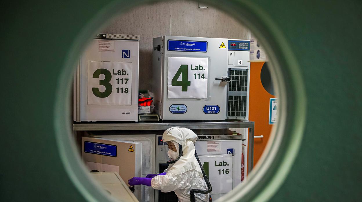 Un trabajador en el laboratorio de alta seguridad en el Centro Nacional de Biotecnología, en Madrid