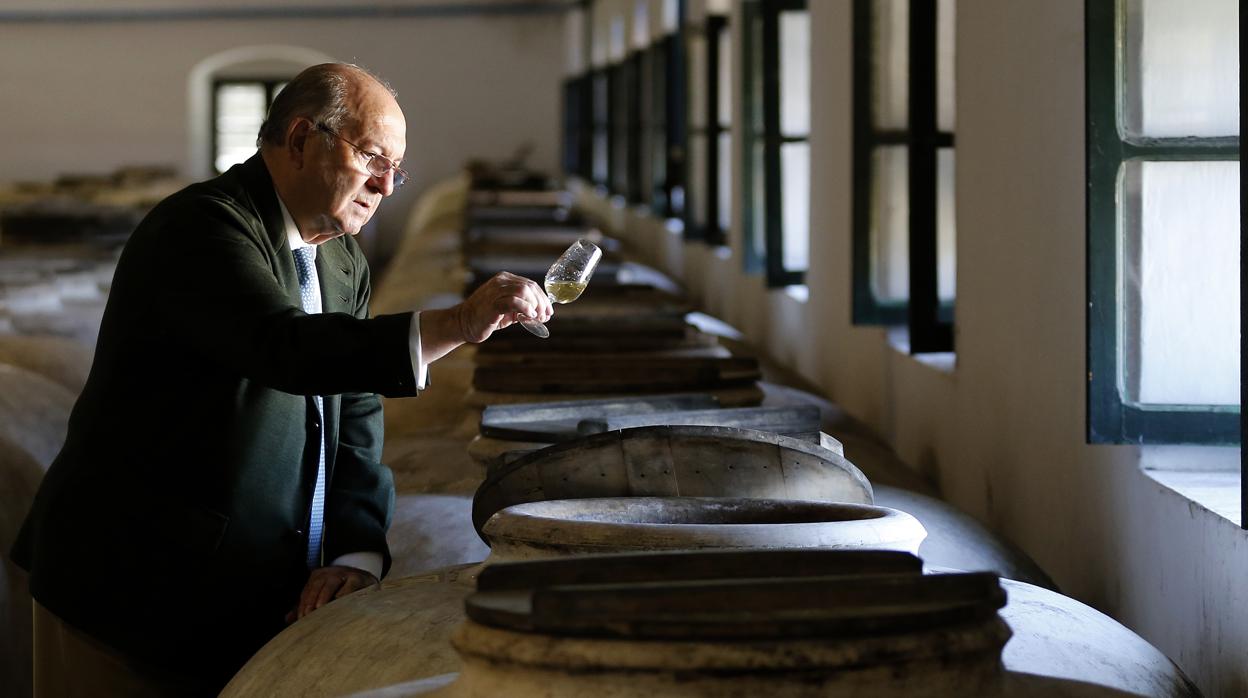 Rafael Córdoba en su bodega de Montilla