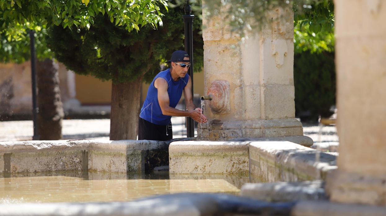 Un hombre se refresca en la fuente del Patio de los Naranjos de la Mezquita-Catedral