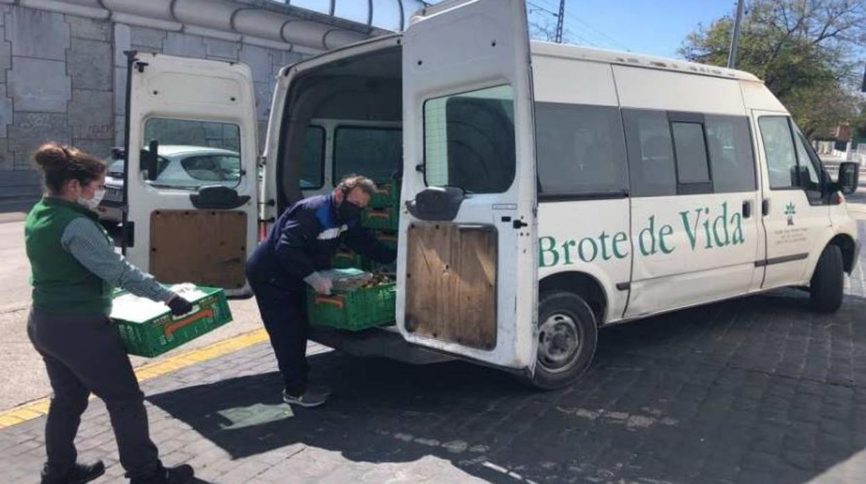 Donación a la Asociación Brote de Vida de Jerez de la Frontera