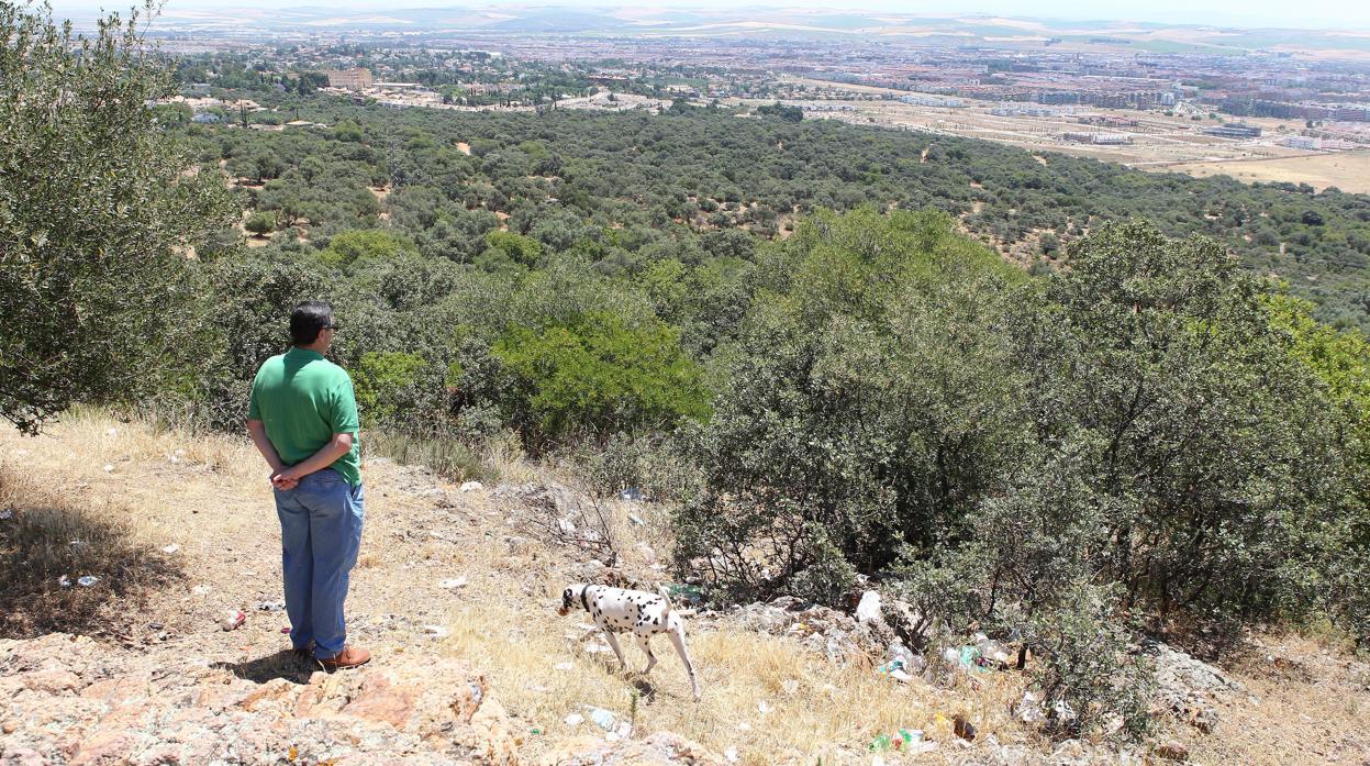 Vistas de la finca El Patriarca