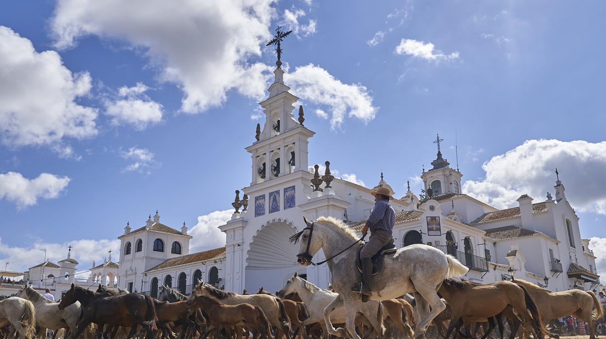 Un yegüerizo arrea una tropa ante las puertas del Santuario de la Virgen del Rocío