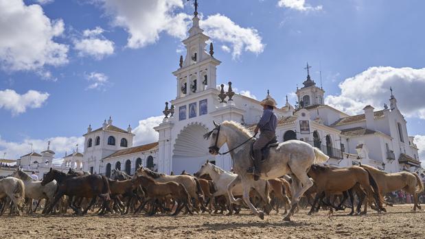 Almonte se queda esperando su Saca de las Yeguas