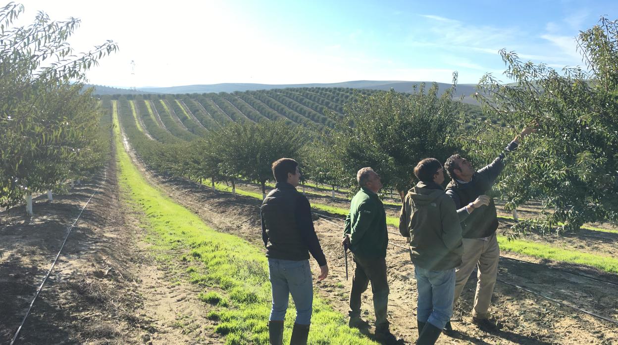 Cortijo La Reina emprende un proceso de industrialización que será realidad en 2021