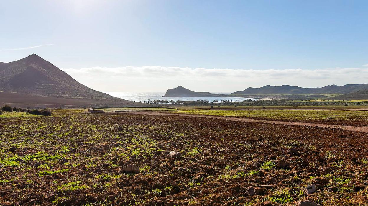 Finca El Romeral frente a la Bahía de Genoveses donde se encuentra el cortijo a rehabilitar.