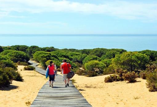 Cuesta Maneli, entre Matalascañas y Mazagón (Huelva), camino de las dunas y la playa del Asperillo