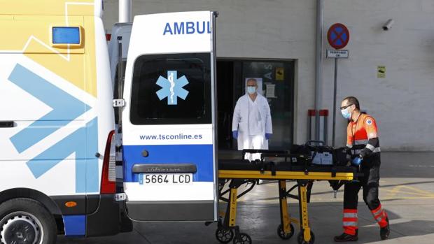 Córdoba suma una hospitalización por Covid-19 y acumula 563 desde el inicio de la pandemia