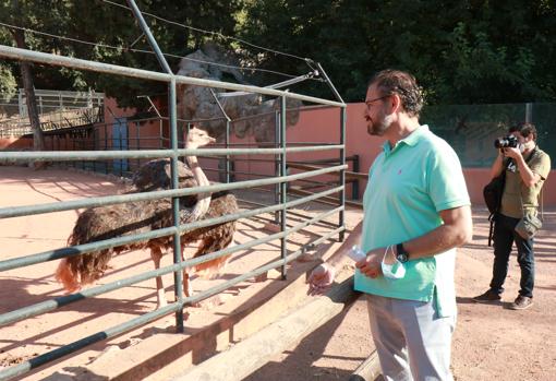 David Dorado, ante las avestruces del Zoológico de Córdoba