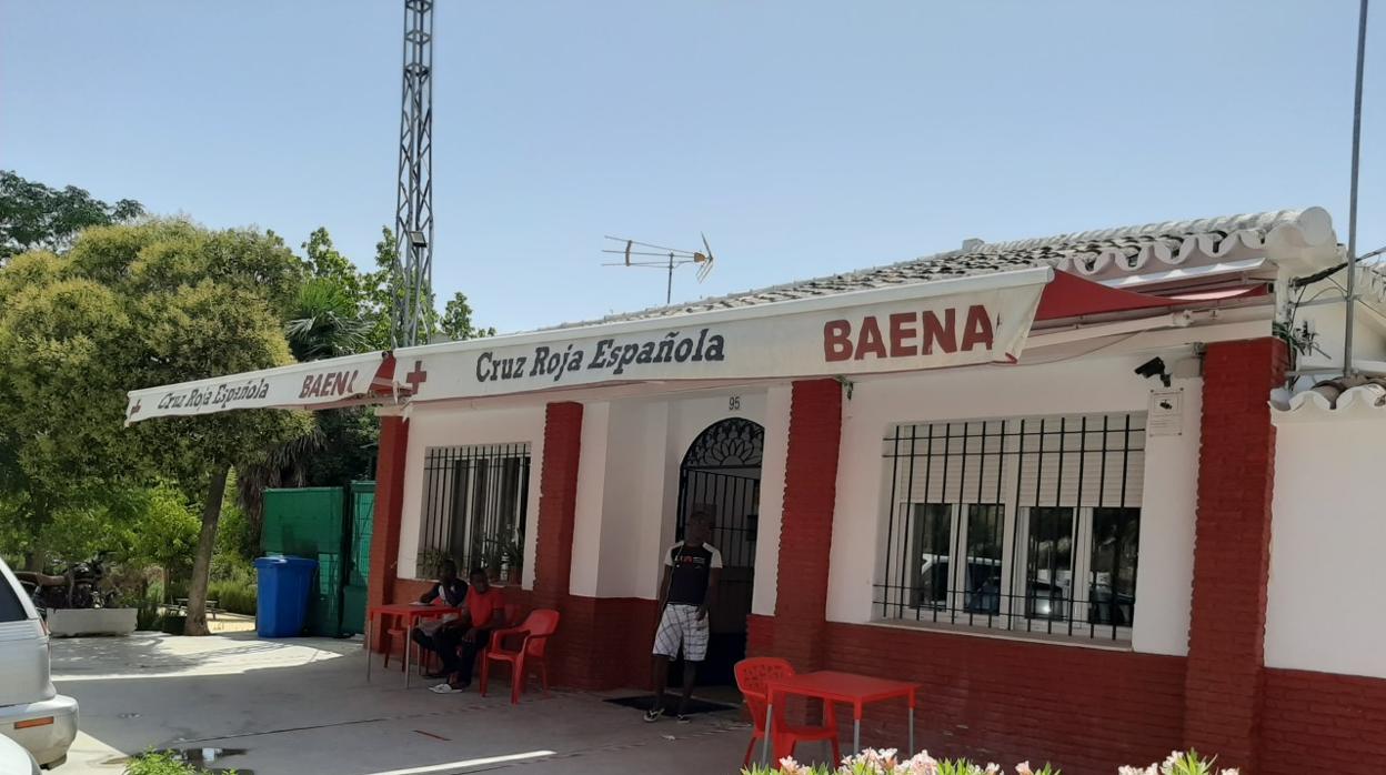 Los inmigrantes acogidos por Cruz Roja en Baena y Puente Genil, un ejemplo de responsabilidad