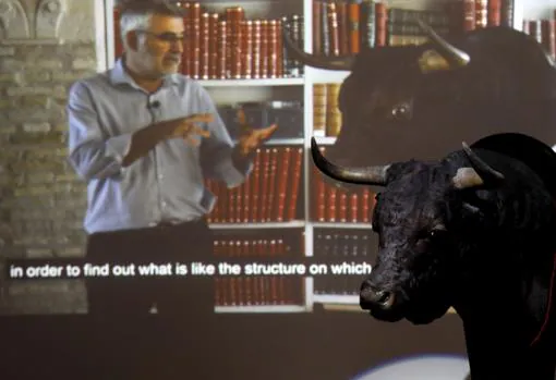 Vídeo sobre la restauración de la cabeza del toro «Mirador» en el Museo Taurino de Córdoba