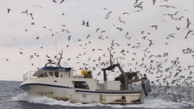 Recogen firmas para que busquen al pescador de Vélez-Málaga desaparecido dentro del barco hundido