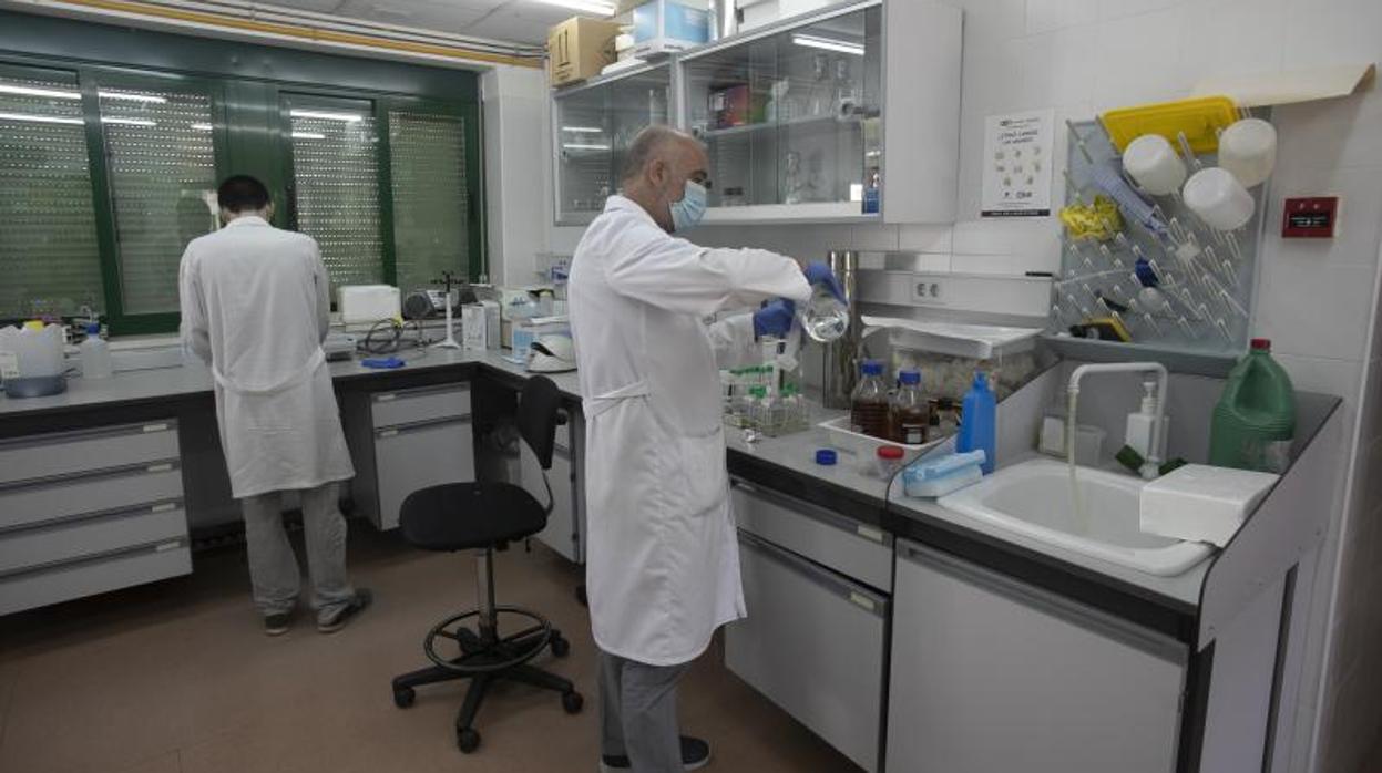 Investigadores de la UCO en el laboratorio donde se analizarán las aguas negras de Córdoba