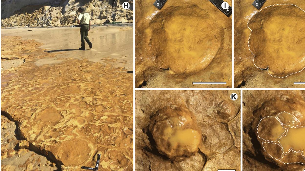 Imágenes tomadas de la revista científica donde aparece el estudio