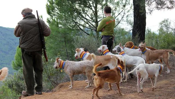 Las monterías y rehalas de caza son declaradas bien de interés cultural de Andalucía