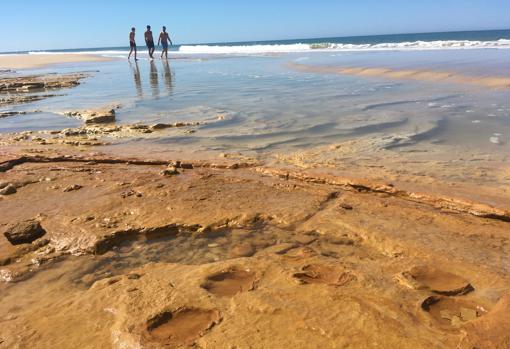 Bañistas pasean por la orilla a escasos metros del yacimiento