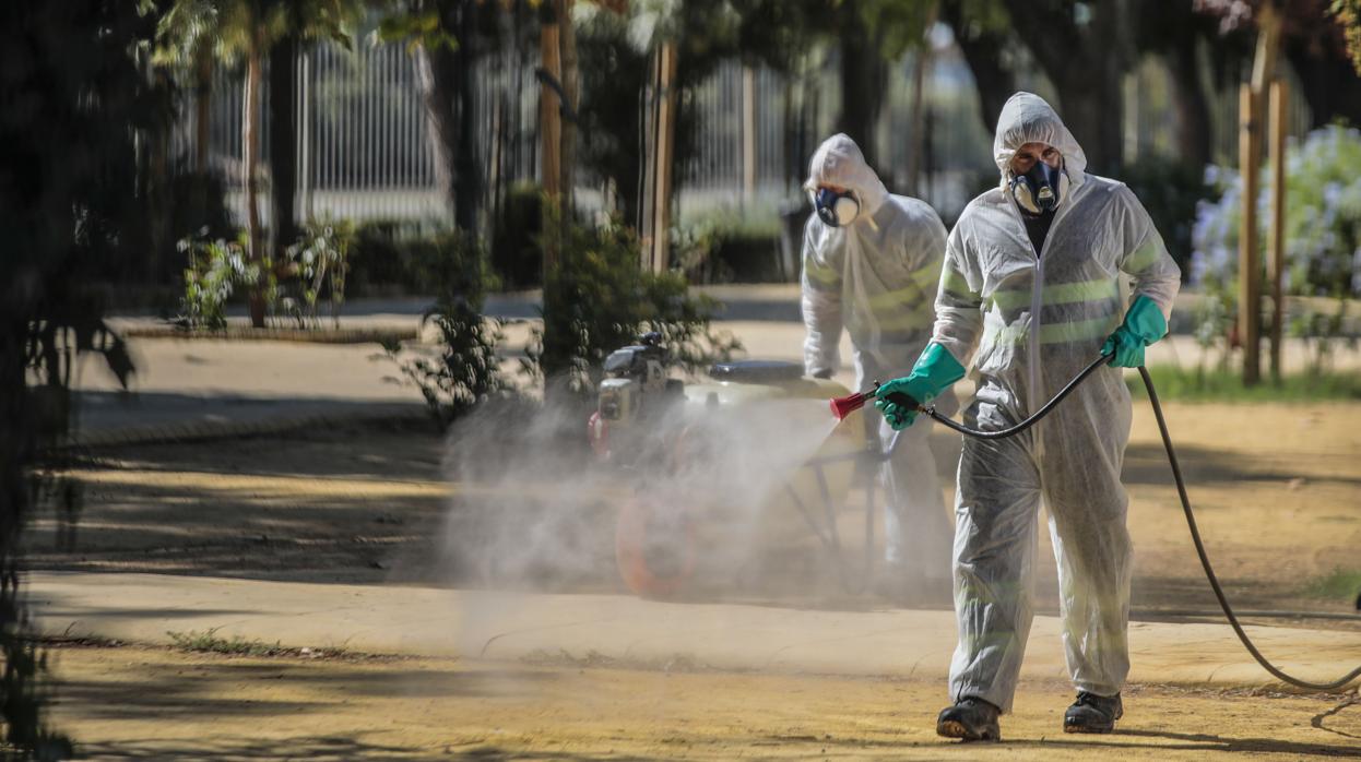 Fumigaciones en Coria del Río