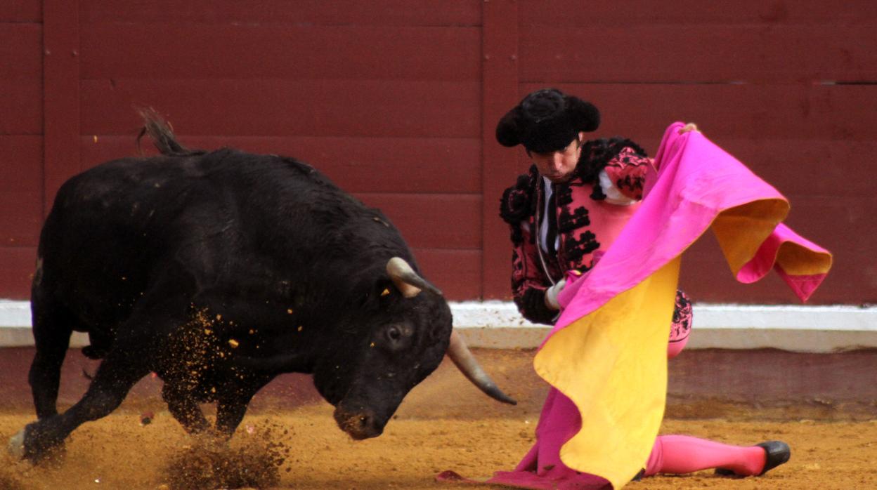 Imagen de una corrida de toros